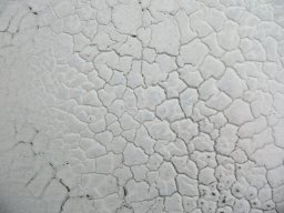 text22